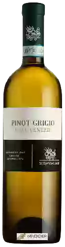Domaine Sessantacampi - Pinot Grigio