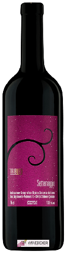 Domaine Settemaggio - Tributo
