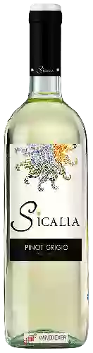Winery Sicalia - Pinot Grigio