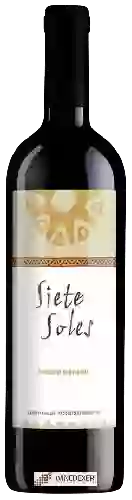 Domaine Siete Soles