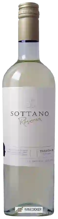 Domaine Sottano - Torrontes Reserva