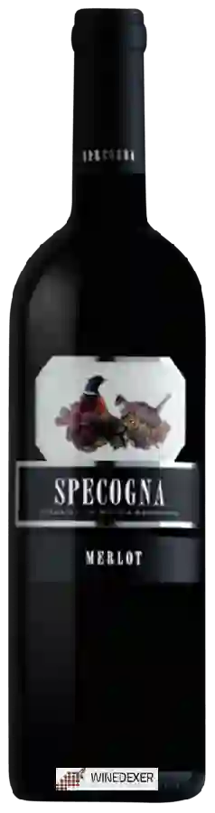 Domaine Specogna - Merlot