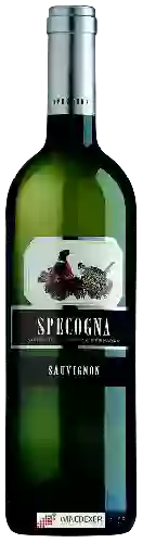 Domaine Specogna - Sauvignon