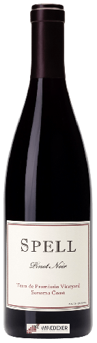 Weingut Spell - Terra de Promissio Vineyard Pinot Noir