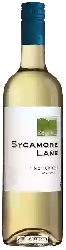 Winery Sycamore Lane - Pinot Grigio