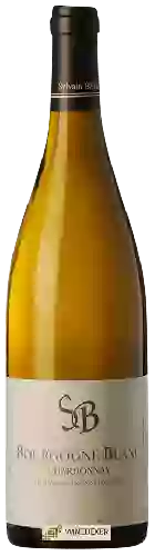 Domaine Sylvain Bzikot
