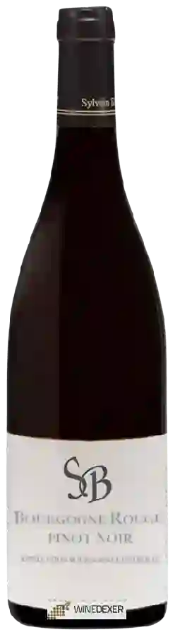 Domaine Sylvain Bzikot - Bourgogne Pinot Noir