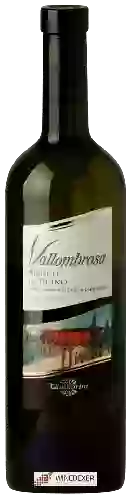 Domaine Tamborini Carlo - Vallombrosa Bianco del Ticino