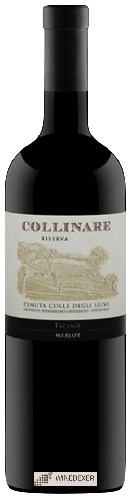 Domaine Tenuta Colle Degli Ulivi - Collinare Riserva Merlot