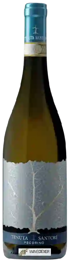 Domaine Tenuta Santori - Pecorino