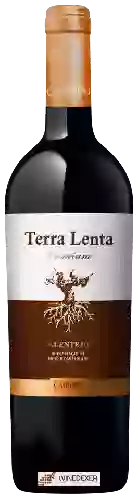 Domaine Terra Lenta - Alentejo Premium