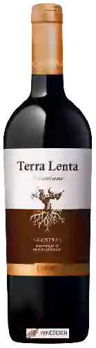 Domaine Terra Lenta Domaine Terra Lenta