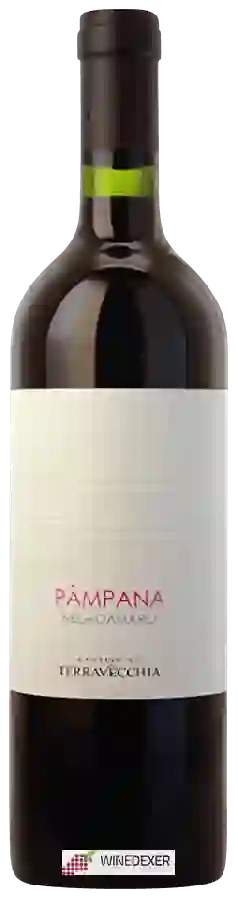 Domaine Cantine di Terra Vecchia - Pàmpana Negroamaro