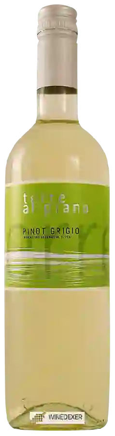 Domaine Terre Al Piano - Pinot Grigio