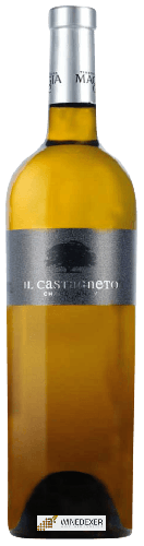 Domaine Terreni Alla Maggia - Il Castagneto Chardonnay