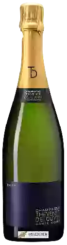 Domaine Thevenet Delouvin