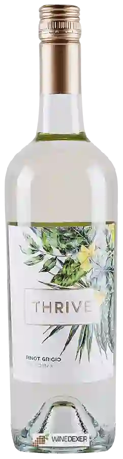 Domaine Thrive - Pinot Grigio Domaine Thrive - Pinot Grigio