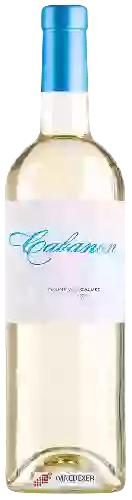 Domaine Thunevin-Calvet Domaine Thunevin-Calvet