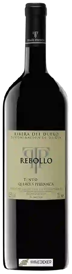 Domaine Tomás Postigo - Quercus Pyrenacia Rebollo Tinto