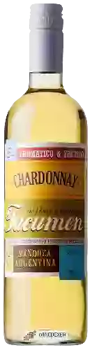 Winery Tucumen - Chardonnay