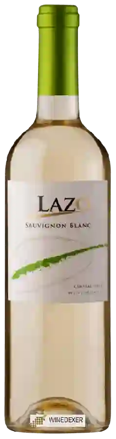 Domaine Undurraga - Lazo Sauvignon Blanc