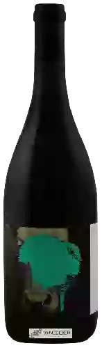 Domaine Cruse Wine - Valdiguié