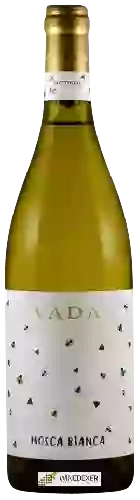 Domaine Vada - Mosca Bianca