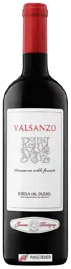 Domaine Vall Sanzo - Crianza