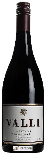 Domaine Valli - Gibbston Vineyard Pinot Noir