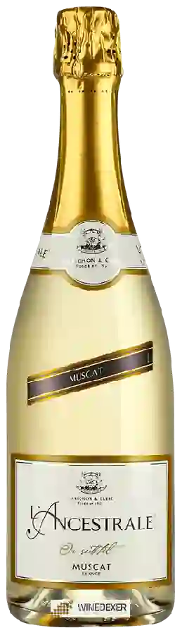 Domaine Varichon & Clerc - L'Ancestrale Or Subtil Muscat Domaine Varichon & Clerc - L'Ancestrale Or Subtil Muscat