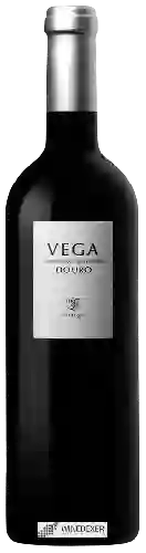 Winery Vega - Douro