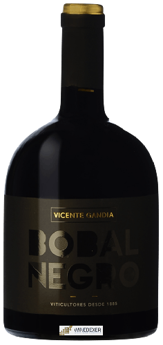 Domaine Vicente Gandía - Bobal Negro Domaine Vicente Gandía - Bobal Negro