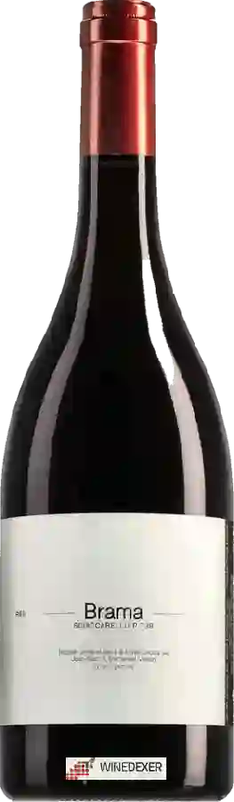 Domaine Vico - Brama Sciaccarellu