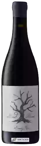 Domaine Villiera - Stand Alone Gamay Noir