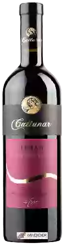 Domaine Vina Cattunar - Teran