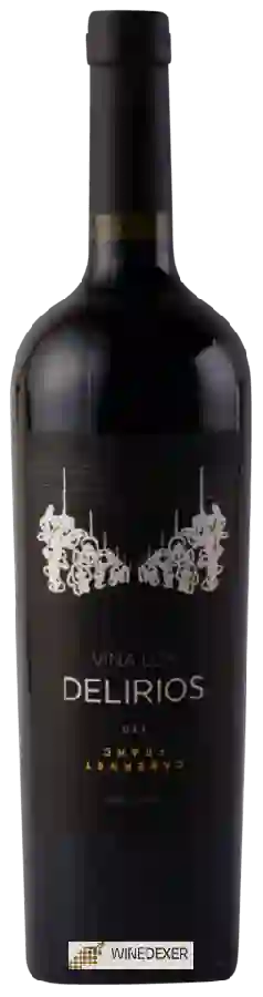 Domaine Viña Los Delirios - Oak Cabernet Franc