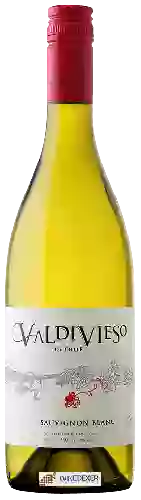 Domaine Valdivieso - Sauvignon Blanc
