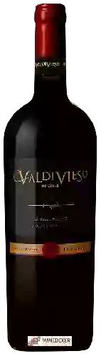 Domaine Valdivieso - Single Vineyard Carmenère