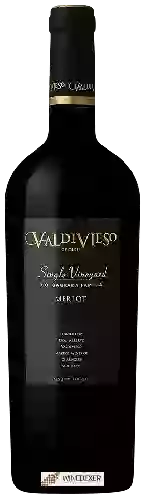 Domaine Valdivieso - Single Vineyard Merlot