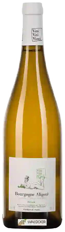 Domaine Vini Viti Vinci - Bréau Bourgogne Aligoté