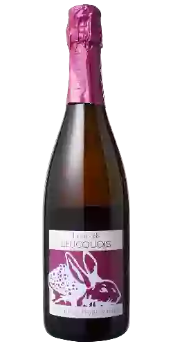 Domaine Vins-Lelièvre - Les Evèques Pinot Noir