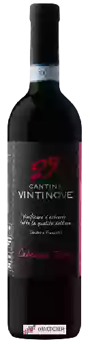 Domaine Vintinove - Cabernet Franc