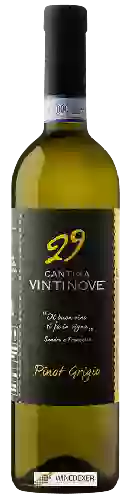 Domaine Vintinove - Pinot Grigio