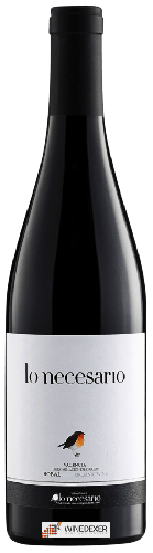 Domaine Viticultores Lo Necesario - lo necesario