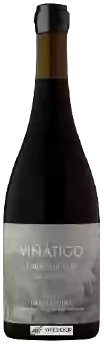 Winery Viñátigo - Laderas de Teno