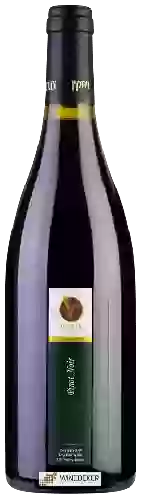 Domaine Vitkin - ויתקין - Pinot Noir (פינו נואר)