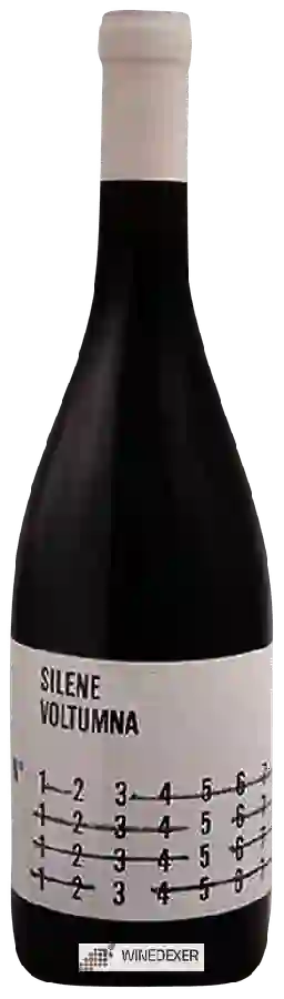Domaine Voltumna - Silene Domaine Voltumna - Silene