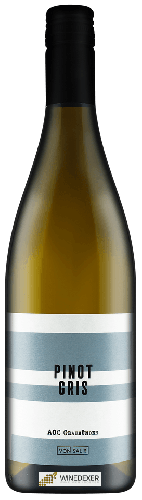 Domaine Von Salis - Bündner Pinot Gris