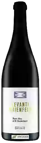 Domaine Von Salis - Levanti Maienfeld Pinot Noir