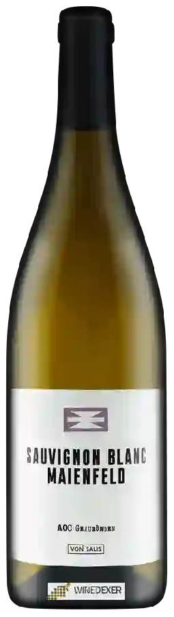 Domaine Von Salis - Maienfeld Sauvignon Blanc Domaine Von Salis - Maienfeld Sauvignon Blanc
